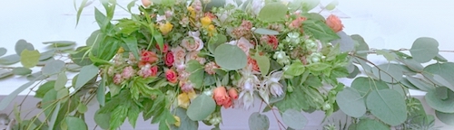 様々な葉っぱの形が楽しい 最近の結婚式で人気の植物 ユーカリ とは Club Marriyell