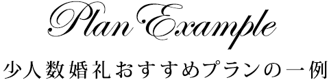 Plan Example 少人数婚礼おすすめプランの一例