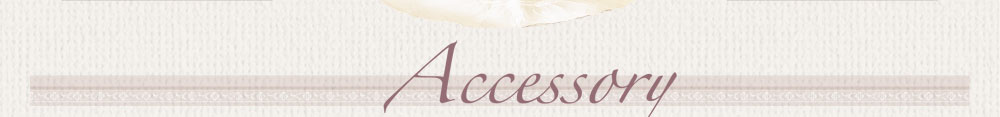 Accessory
